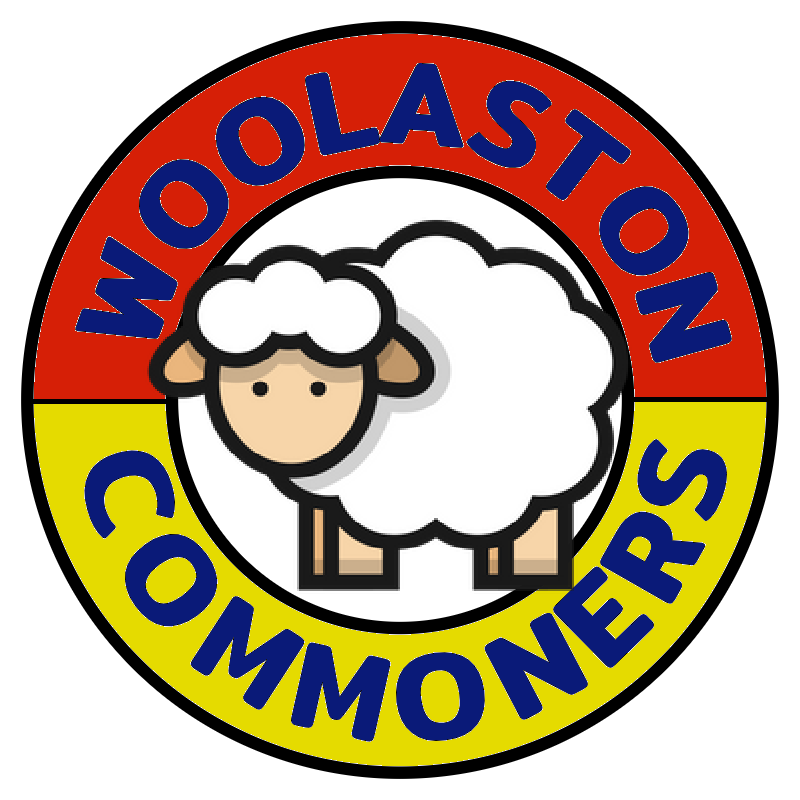 team logo